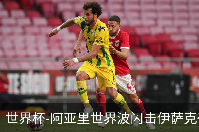 世界杯-阿亚里世界波闪击伊萨克破门 半场瑞典2-1突尼斯