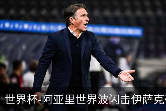 世界杯-阿亚里世界波闪击伊萨克破门 半场瑞典2-1突尼斯